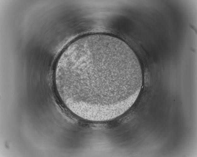 X0000103950436200810171842