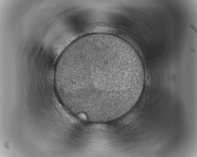 X0000103950437200810171842