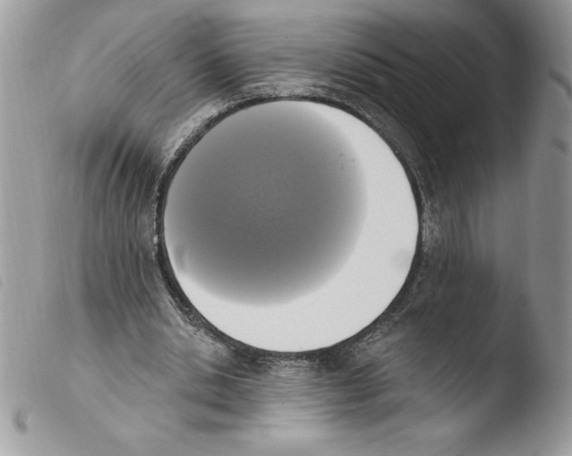 X0000103950438200810171842
