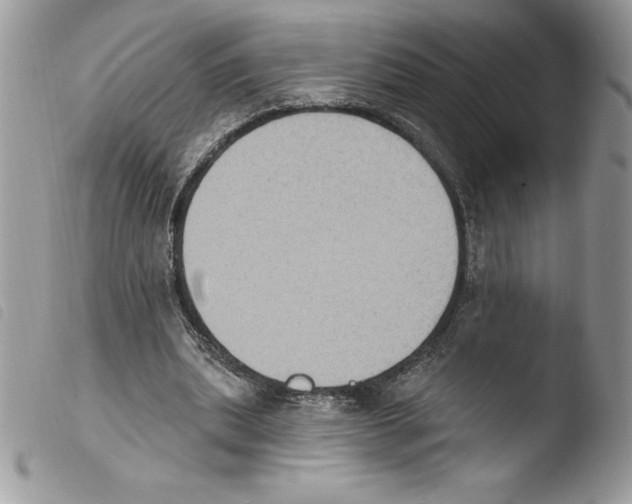 X0000103950439200810171842