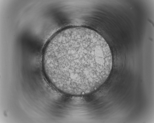 X0000103950440200810171842