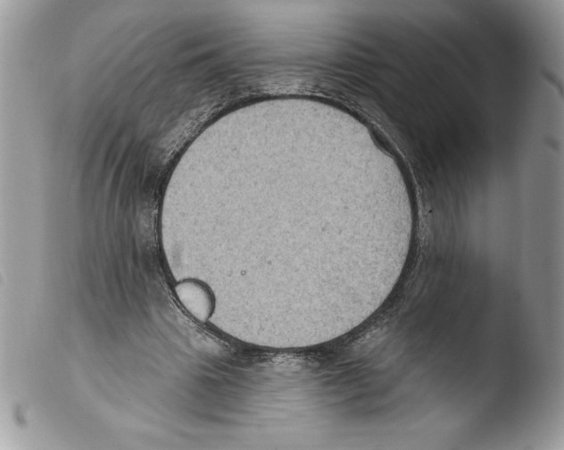 X0000103950441200810171842