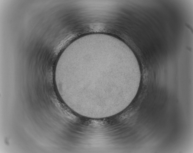 X0000103950442200810171842