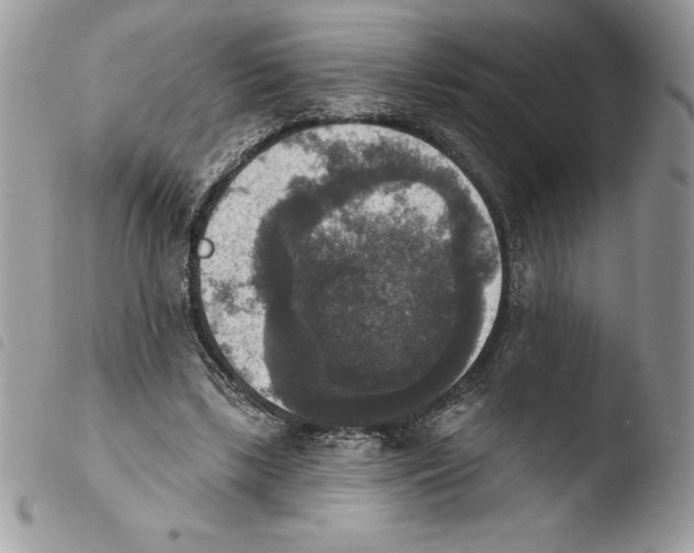 X0000103950443200810171842