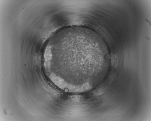X0000103950444200810171842