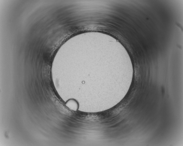 X0000103950445200810171842