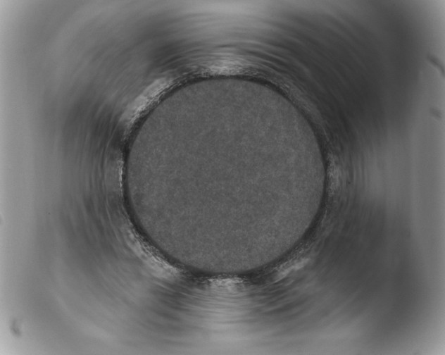 X0000103950446200810171843