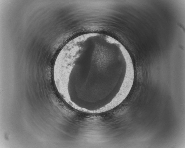 X0000103950447200810171843