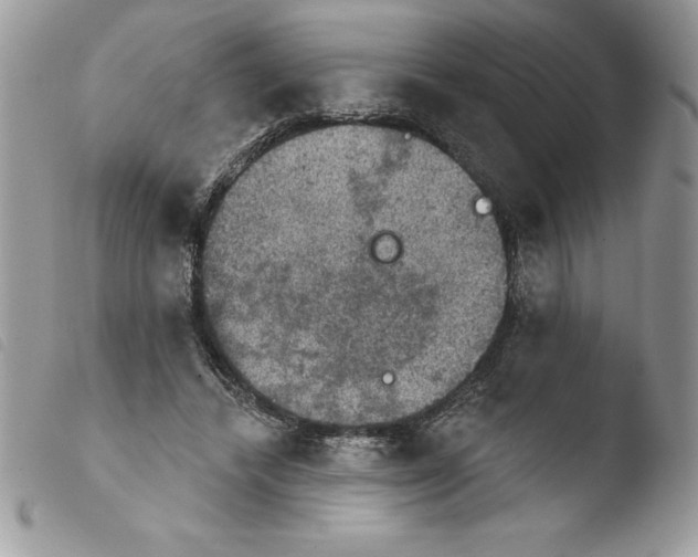 X0000103950448200810171843