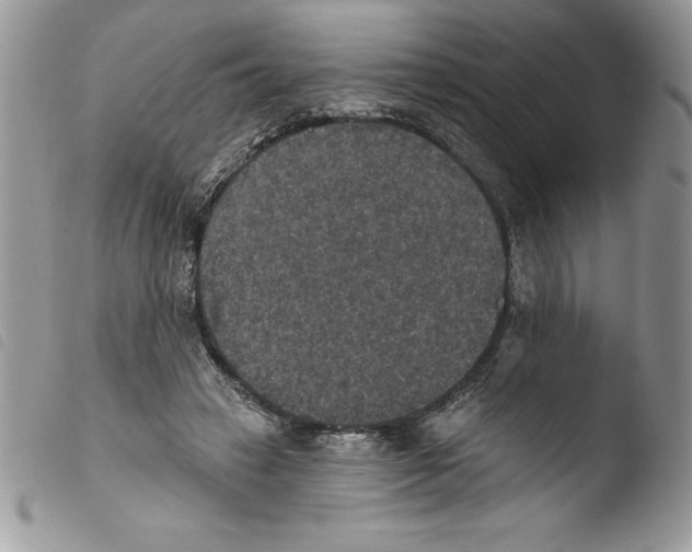 X0000103950449200810171843