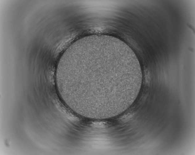X0000103950450200810171843