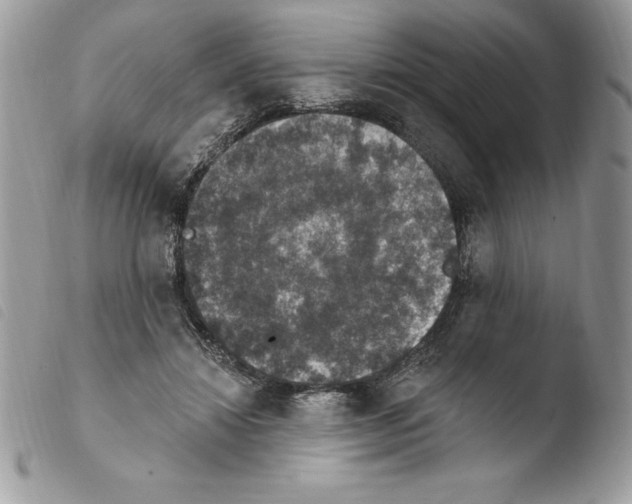 X0000103950452200810171843