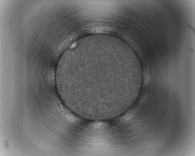X0000103950453200810171843