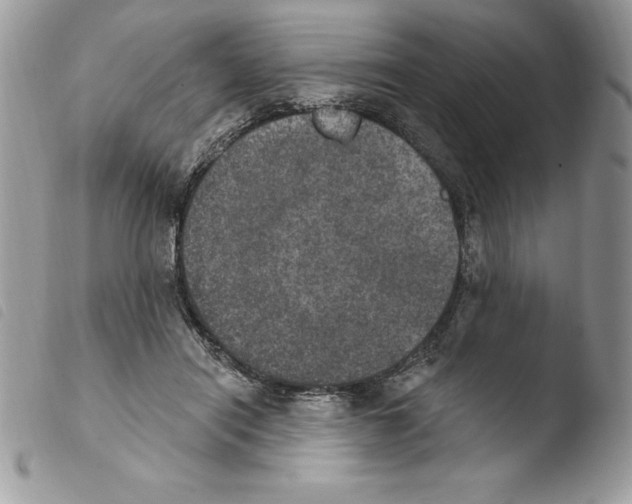 X0000103950454200810171843