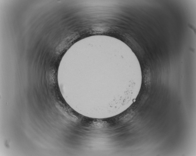 X0000103950455200810171843