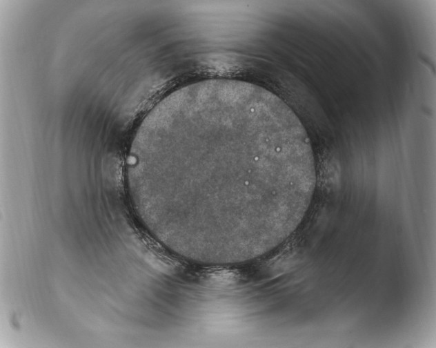 X0000103950456200810171843