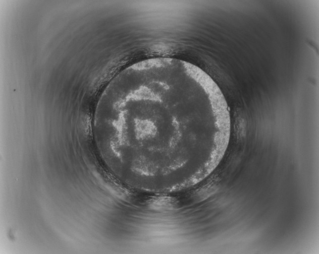 X0000103950459200810171843