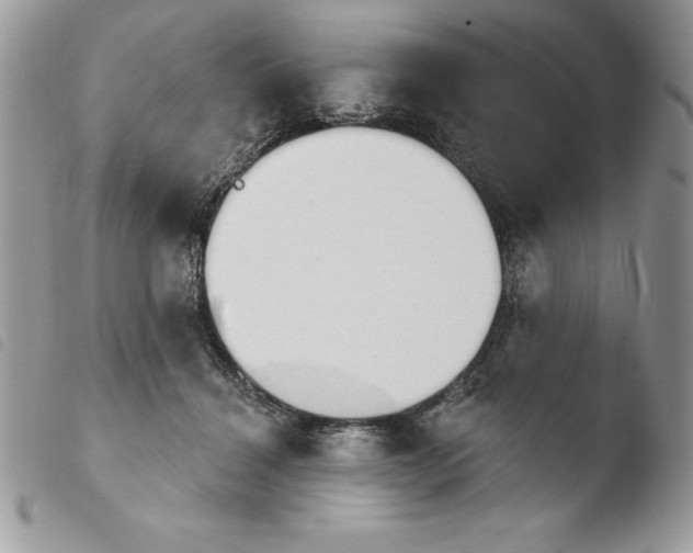 X0000103950460200810171843