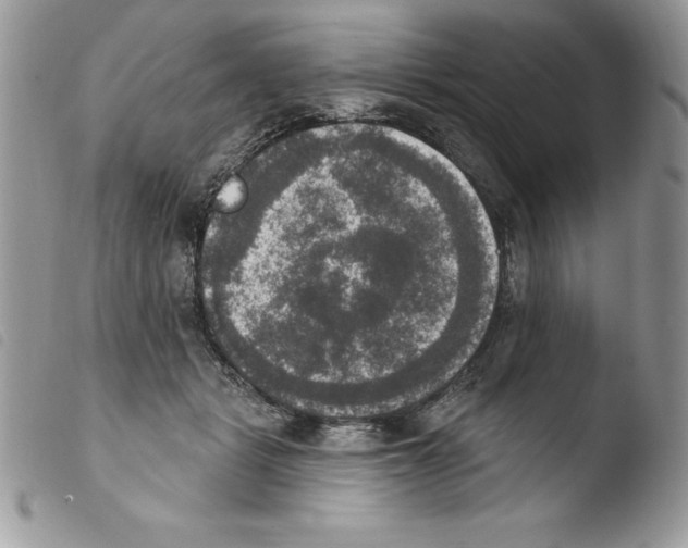 X0000103950461200810171843