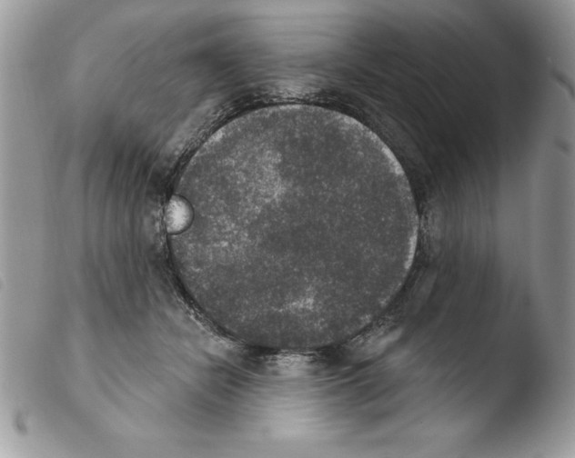 X0000103950462200810171843