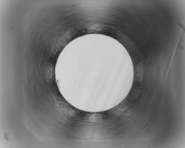 X0000103950463200810171843