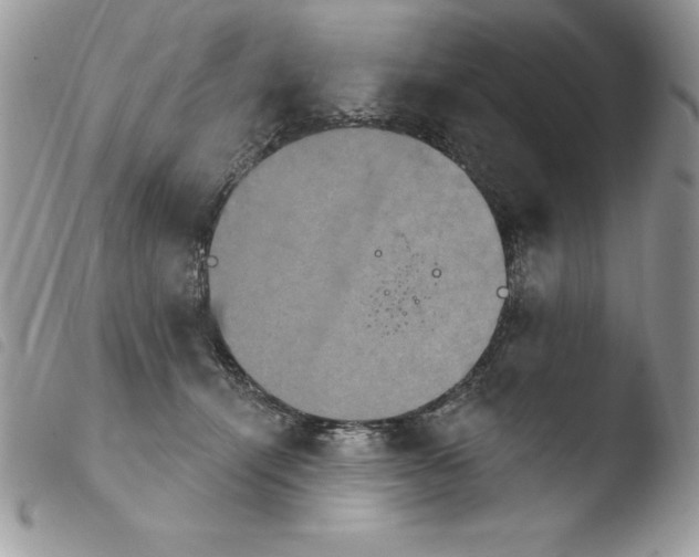 X0000103950464200810171843