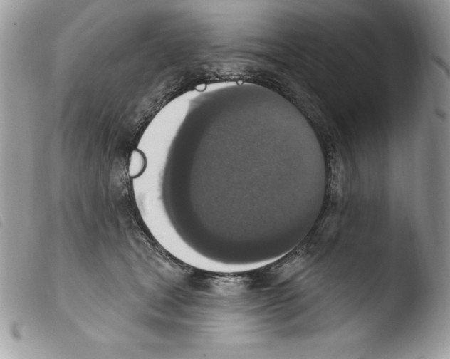 X0000103950465200810171843