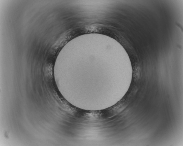 X0000103950466200810171843