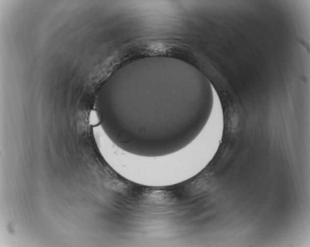 X0000103950467200810171843