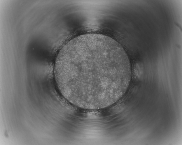 X0000103950468200810171843