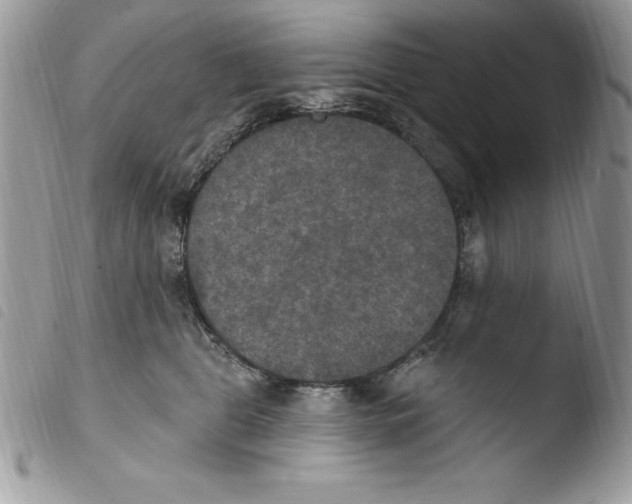 X0000103950469200810171843