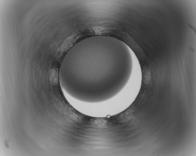 X0000103950471200810171843