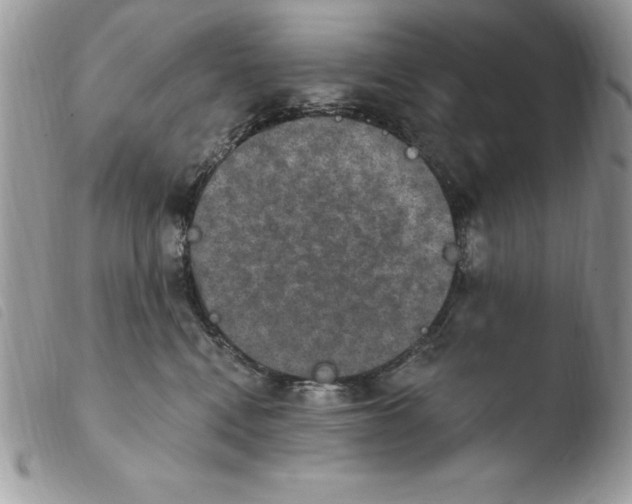 X0000103950472200810171843