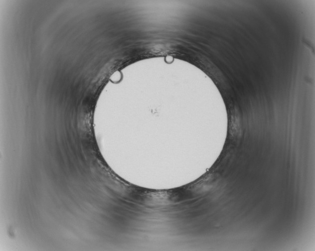 X0000103950473200810171843