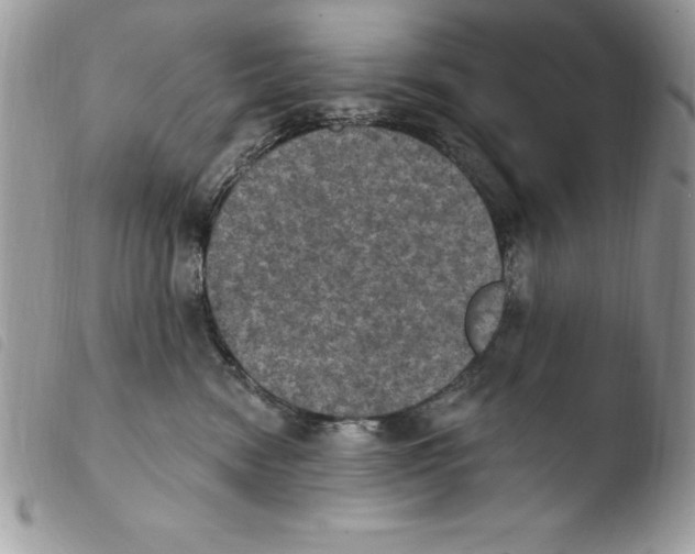 X0000103950474200810171843