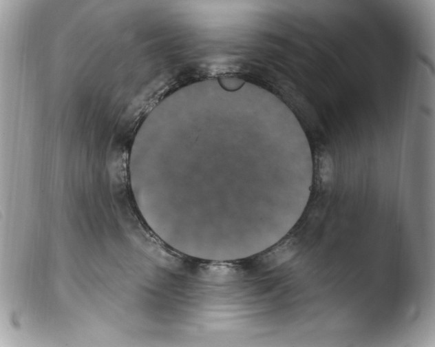 X0000103950475200810171843