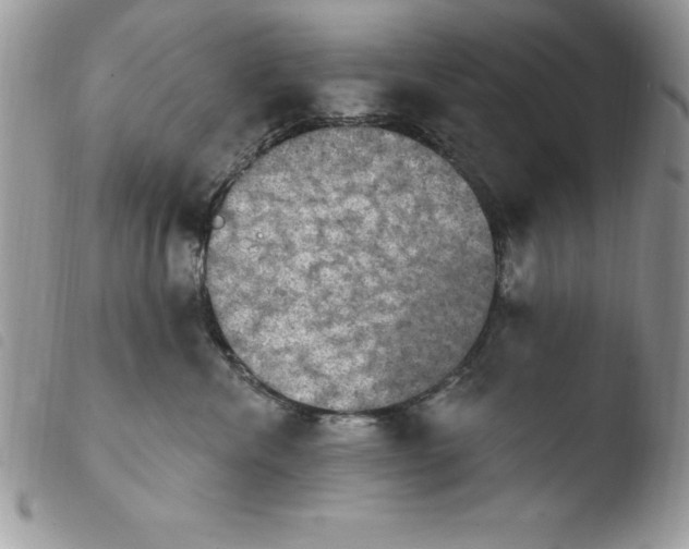X0000103950476200810171843