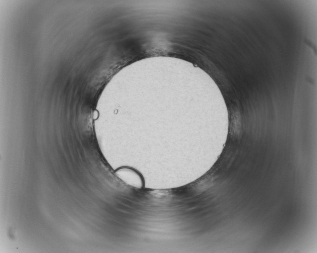X0000103950477200810171843