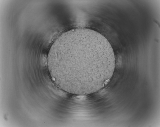 X0000103950478200810171843