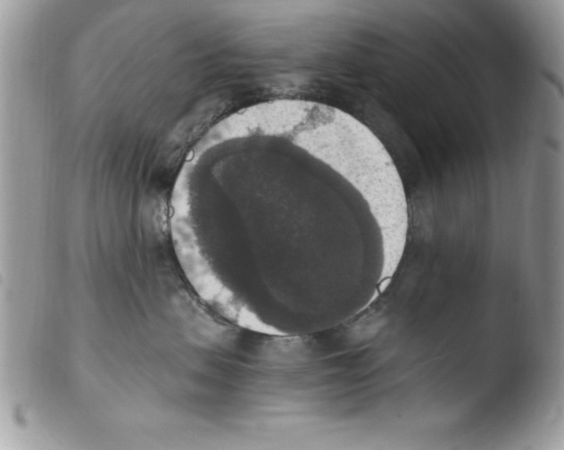 X0000103950479200810171843