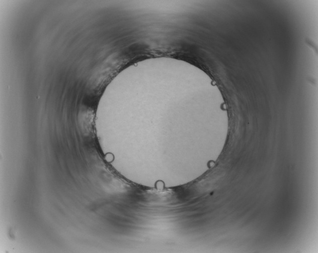 X0000103950480200810171843
