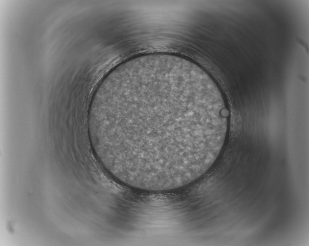 X0000103950481200810171842