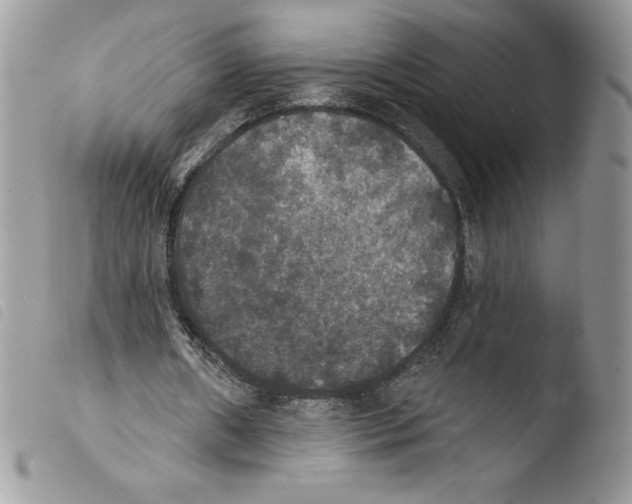 X0000103950482200810171842