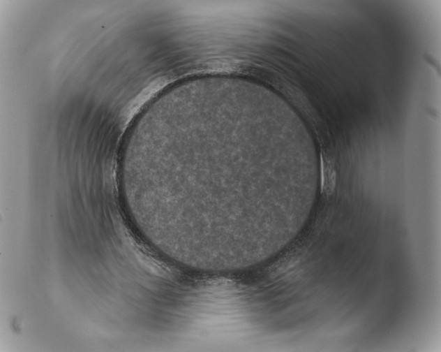 X0000103950483200810171842