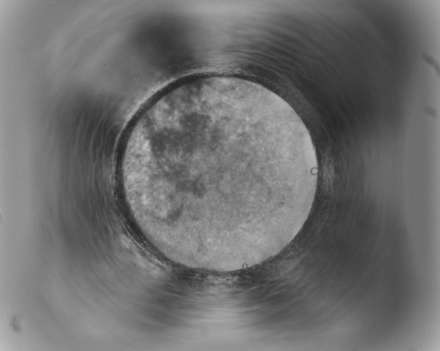 X0000103950484200810171842