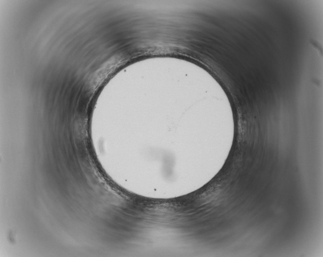 X0000103950485200810171842