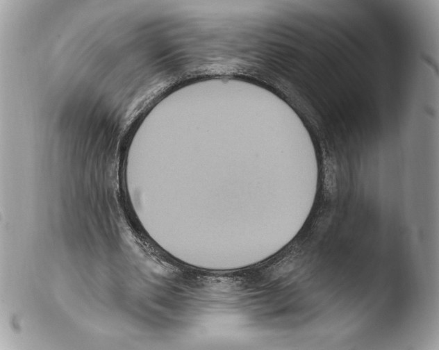 X0000103950486200810171842