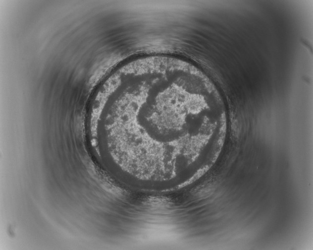 X0000103950487200810171842