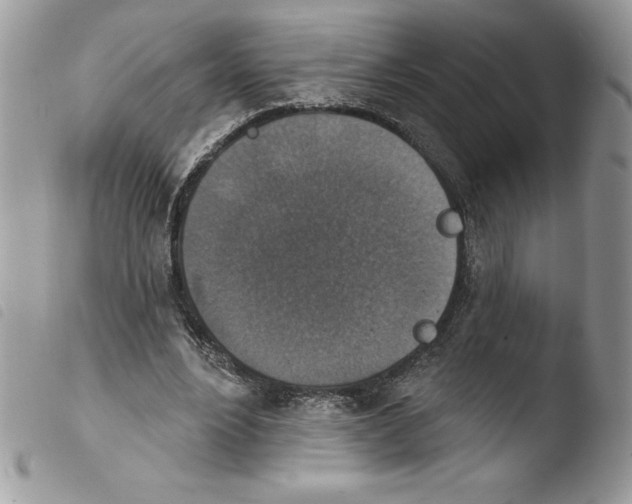 X0000103950488200810171842