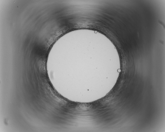 X0000103950489200810171842